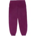 Photo 2 Sp5der Nocturnal Highway Sweatpant Dark Purple the back side